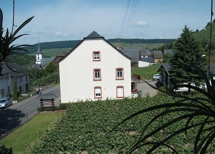 Weinhaus Liesertal فندق مارينغ - نوفياند